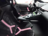 [Mansory] 1:18 Lamborghini 2020 Aventador SVJ Cabrera Pink Model Car Resin