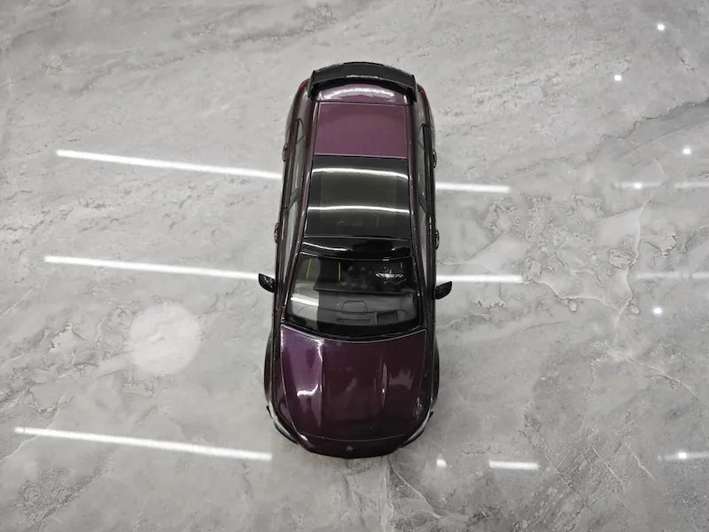 1:18 Mercedes-AMG 2023 A45 S NZG Die Cast Model Car