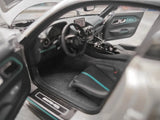 [Minichamps] 1:18 Mercedes-AMG 2020 GT Black Series Silver Model Car Die-Cast