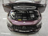 [NZG] 1:18 Mercedes-AMG 2020 A45 S paars modelauto Die-Cast