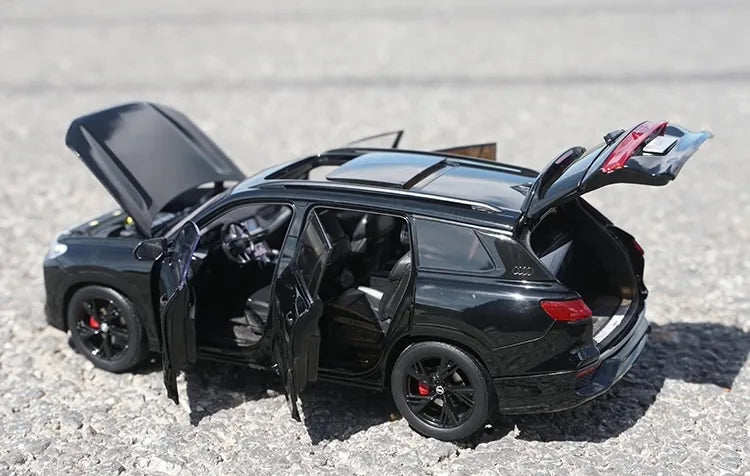 [OEM] 1:18 Audi 2022 Q6 Black Model Car Die-Cast