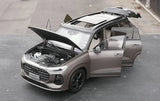 [OEM] 1:18 Audi 2022 Q6 グレー モデルカー Die-Cast