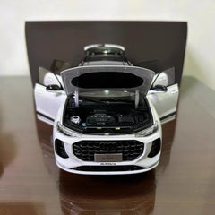 [OEM] 1:18 Audi 2022 Q6 White Model Car Die-Cast