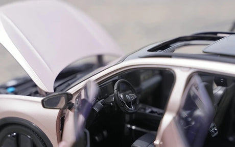 [OEM] 1:18 Volkswagen 2024 Tiguan L Pink Model Car Die-Cast