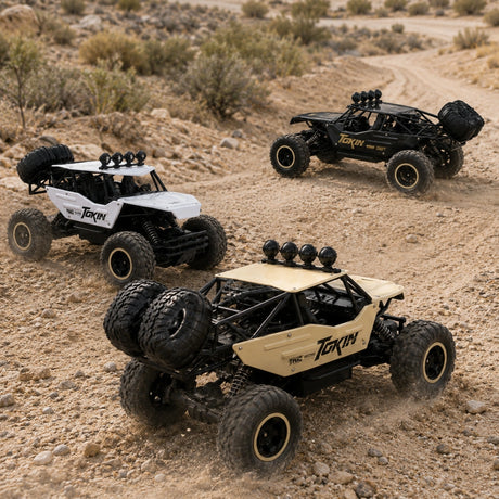 1:12 R/C STK-008 2.4G Off-Road Climb Car RC Car