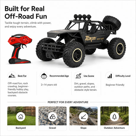 1:12 R/C STK-008 2.4G Off-Road Climb Car RC Car