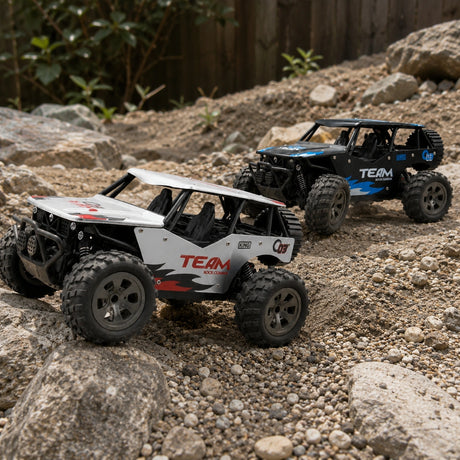 1:18 المقياس Alloy Climbing RC Car RC Car
