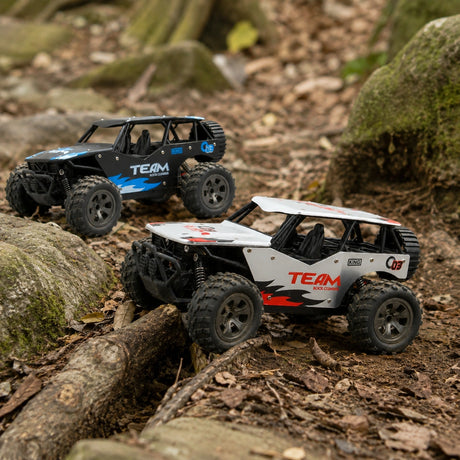 1:18 المقياس Alloy Climbing RC Car RC Car