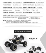 1:12 R/C STK-008 2.4G Off-Road Climb Car RC Car
