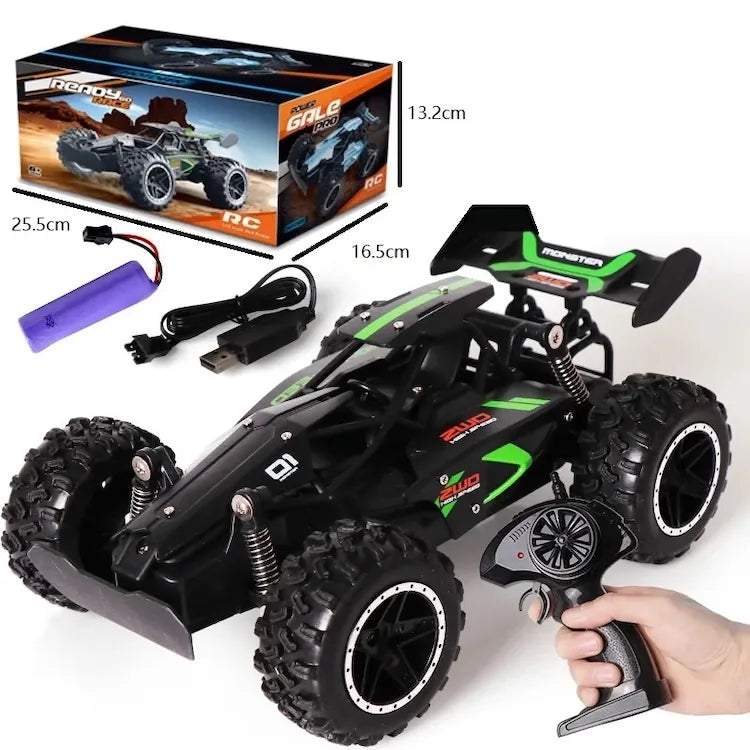 1:24 R/C STK-011 2.4G Off Road Climb Car RC Car