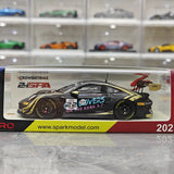 Porsche 2025 911 GT3 R 992 #22 Schumacher CLRT modelo colecionável de resina Spa 1:43 24h - ver 13