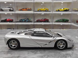 [LCD] 1:18 McLaren 1995 F1 XP5 Silver Model Car Die-Cast